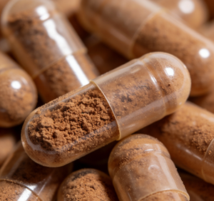 Mushroom Capsules