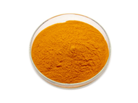 Coenzyme Q10