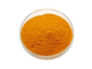 Coenzyme Q10